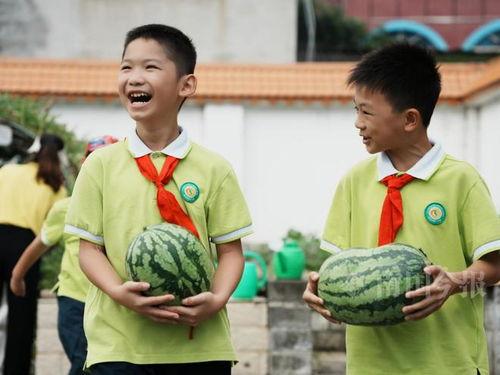 和孩子们一起来吃瓜,与孩子们共享欢乐吃瓜盛宴