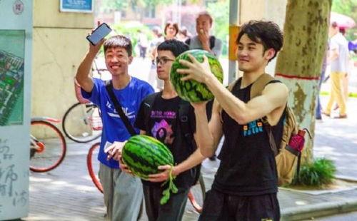 吃瓜娱乐学校,网红明星的摇篮与成长之路