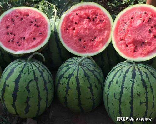 娱乐吃瓜姐买鸭